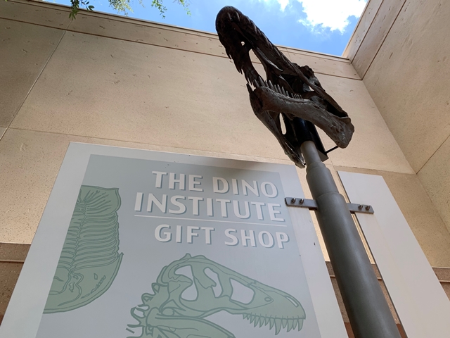 the dino institute